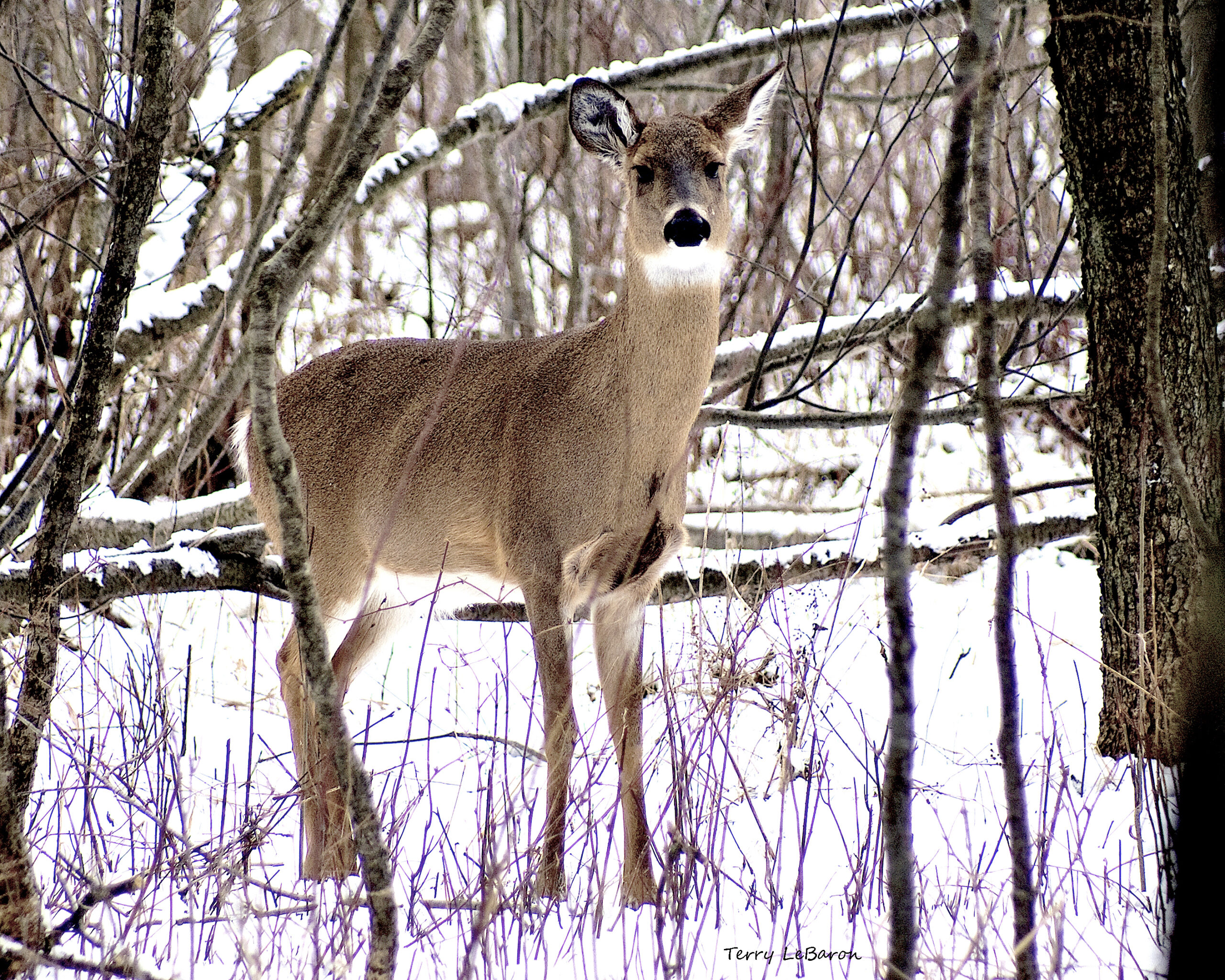 Staying warm in the winter